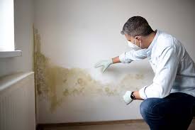 Best Mold Remediation for Healthcare Facilities  in North Amityville, NY